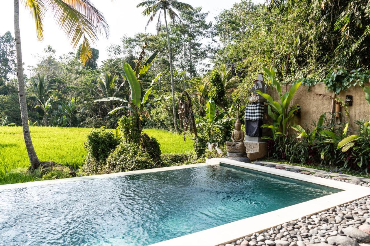 Bali Bamboo Jungle Huts And Hostel Tampaksiring Екстериор снимка