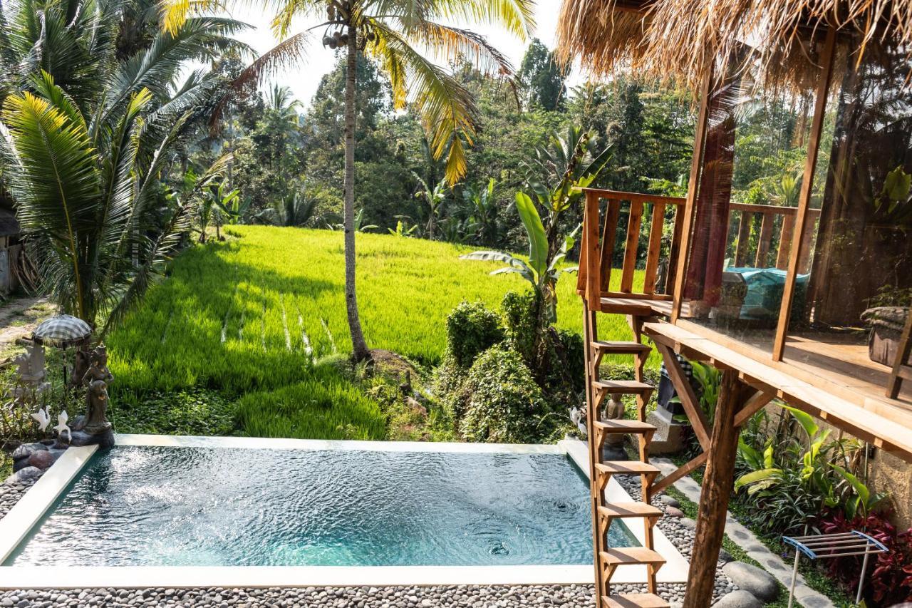 Bali Bamboo Jungle Huts And Hostel Tampaksiring Екстериор снимка