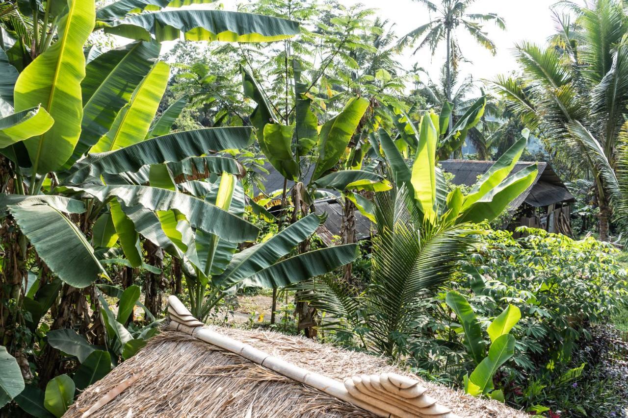 Bali Bamboo Jungle Huts And Hostel Tampaksiring Екстериор снимка