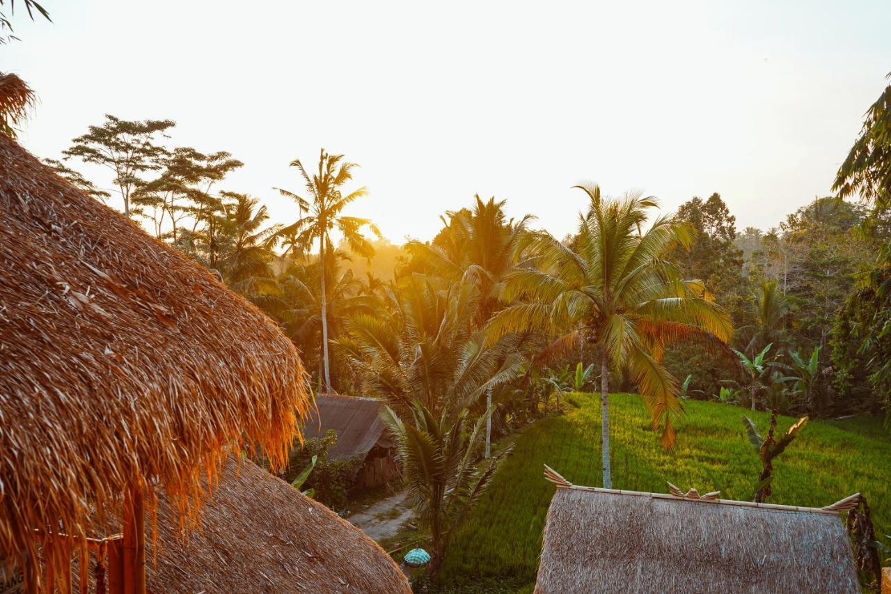 Bali Bamboo Jungle Huts And Hostel Tampaksiring Екстериор снимка