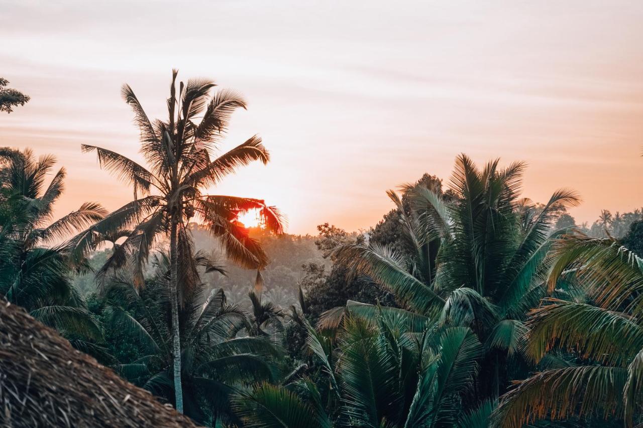 Bali Bamboo Jungle Huts And Hostel Tampaksiring Екстериор снимка